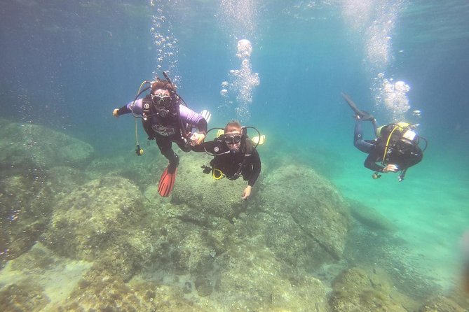 Scuba Diving in La Maddalena & Lavezzi Park for certified divers. - Key Points