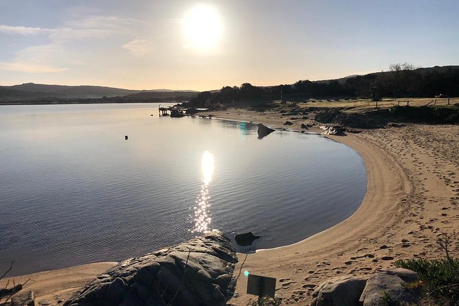 Scuba Diving in La Maddalena & Lavezzi Park for certified divers. - Departing from Porto Pollo at 8:00 am for a Morning Underwater Excursion