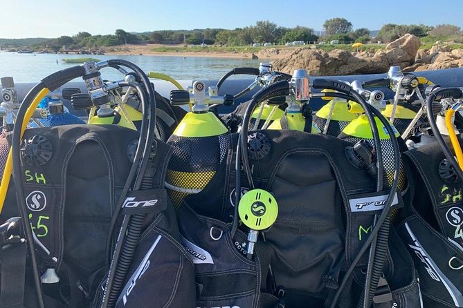 Scuba Diving in La Maddalena & Lavezzi Park for certified divers. - Post-Dive Refreshments and Relaxation