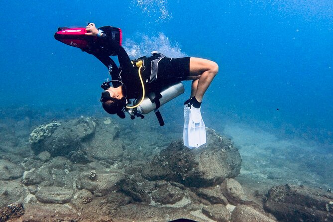 Scuba Diving in Maui with No Experience Needed - Key Points