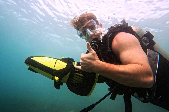 Scuba Diving in Maui with No Experience Needed - The Marine Environment: Conservation & Community Impact