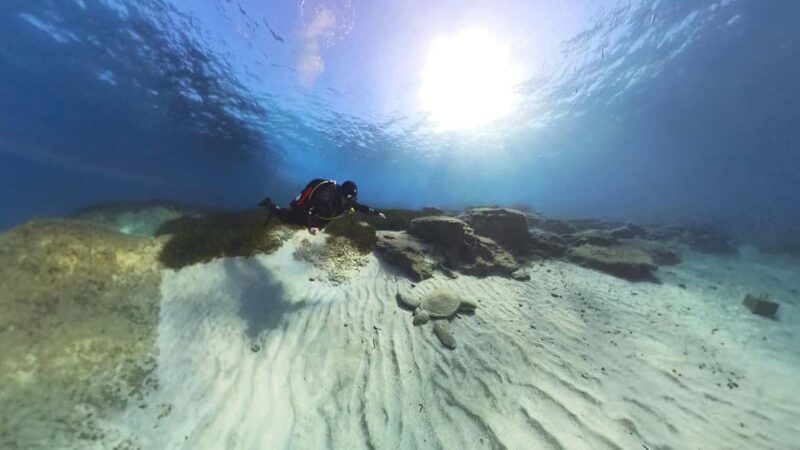 Scuba diving-private and individual No certification needed - Convenient Logistics and Group Size