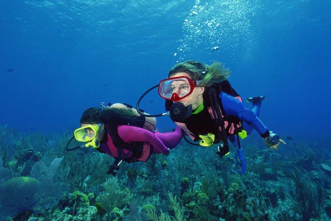 Scuba Diving Tour From Alanya - Side - Antalya - The Experience for First-Time Divers