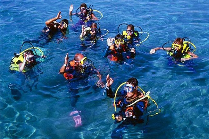 Scuba Diving Tour From Kusadasi / Selcuk - Key Points