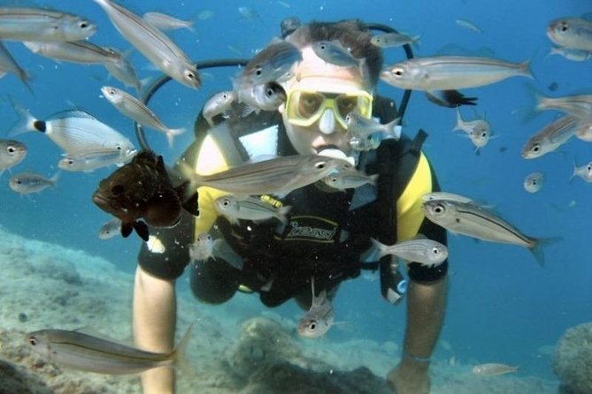 Scuba Diving Tour From Kusadasi / Selcuk - Safety and Equipment: All You Need Provided