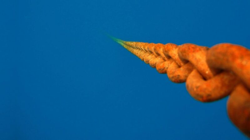 Scuba Diving Tour with Transfer From Alanya and city of Side - Exciting Mediterranean Scuba Diving with Convenient Transfers from Alanya and Side