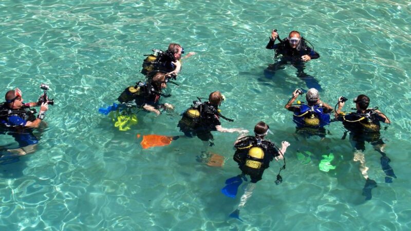 Scuba Diving Tour with Transfer From Alanya and city of Side - Guidance and Support for Beginners and Certified Divers