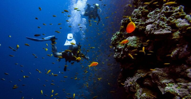 Scuba Diving Tour with Transfer From Alanya and city of Side - Equipment and Safety Measures