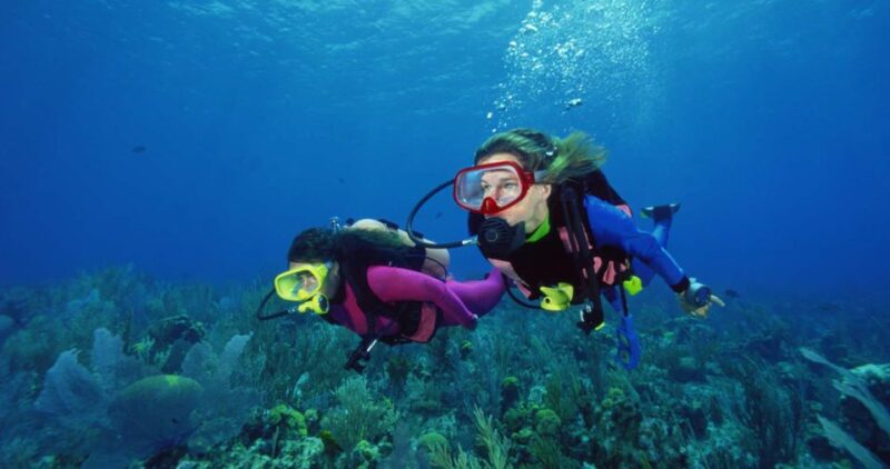 Scuba Diving Tour with Transfer From Alanya and city of Side - The Experience for Non-Divers and Family Members