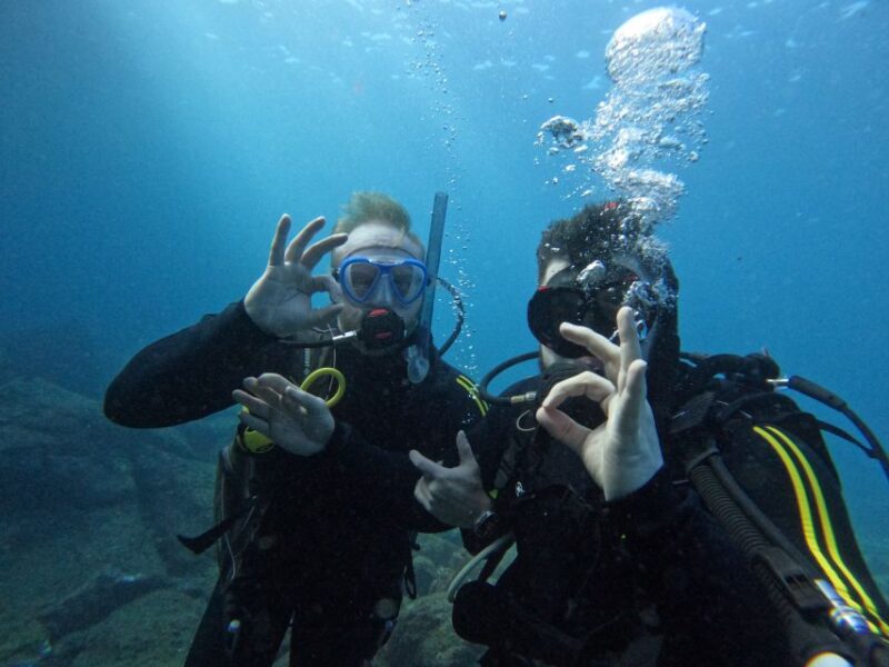 Scuba Diving trips for Certified Divers in Tenerife - Discover Tenerife’s Underwater Wonders with Certified Scuba Trips
