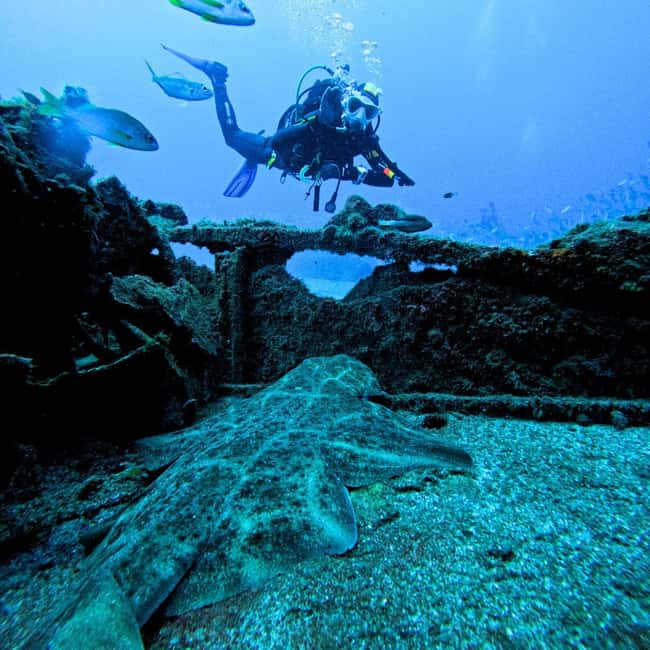 Scuba Diving trips for Certified Divers in Tenerife - Exploring Tenerife’s Unique Dive Sites