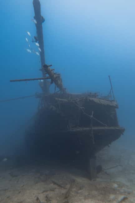 Scuba Diving trips for Certified Divers in Tenerife - Fully Equipped Boats and Hassle-Free Diving