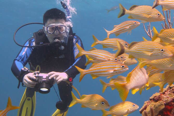 Scuba Diving Under Water Museum and Reef for beginners - Exploring the Underwater Museum (MUSA) and Manchones Reef