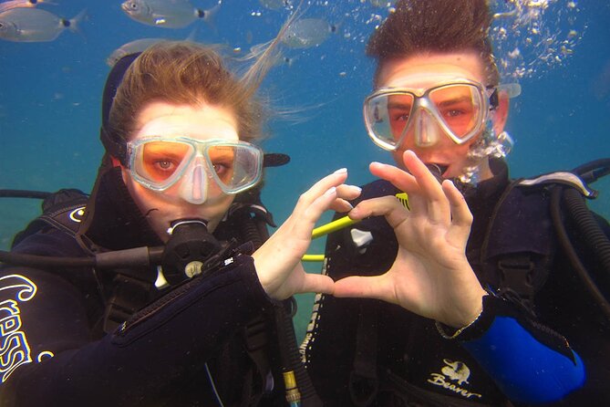 Scuba Diving Under Water Museum - The Two Dives: 40 Minutes Each with a Break in Between