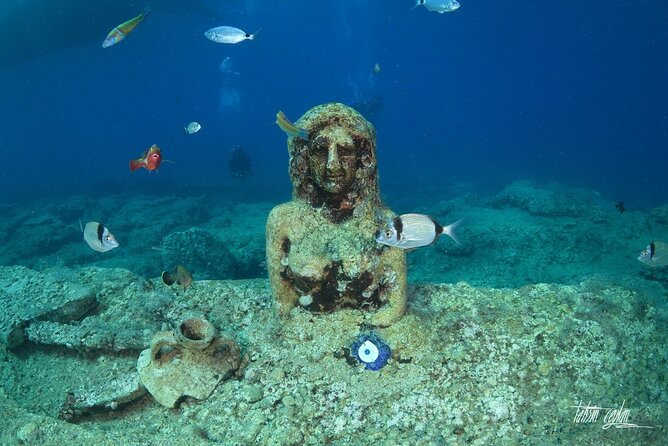 Scuba Diving Under Water Museum - Training for First-Time Divers and Professional Guidance