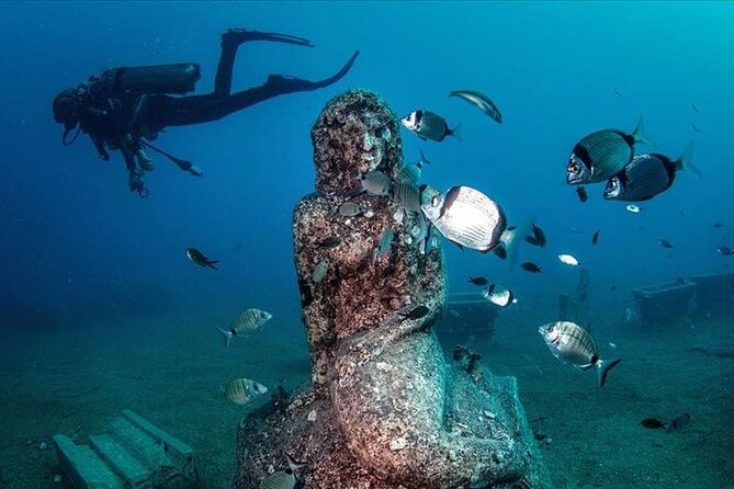 Scuba Diving Under Water Museum - What Past Participants Say: Strengths and Challenges