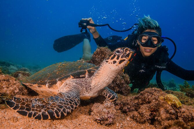 Scuba Diving with a 5-Star PADI Center in Puerto Vallarta - Equipment, Snacks, and Additional Costs
