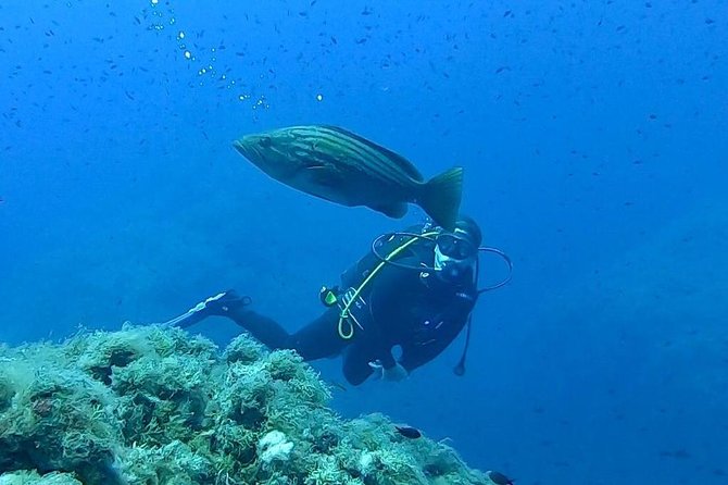 Scuba Experience - Discover the Sicily Scuba Experience: No Certification Needed