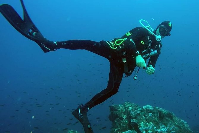 Scuba Experience - The Safety and Equipment: All You Need Is Your Excitement