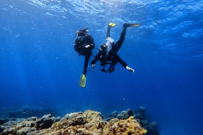 Scuba Experience in Tenerife with Guide - Starting Point and Meeting Details in Arona