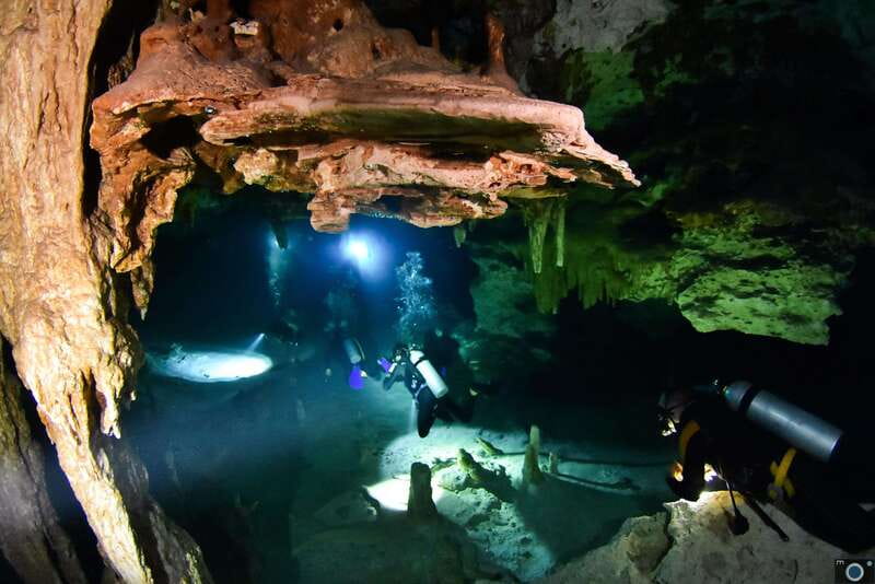 Scuba in 2 cenotes in a half-day - Final Thoughts on the Tulum Cenote Diving Adventure