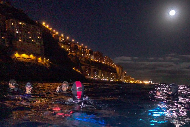 Scuba Night Dive on Tenerife - Discover Tenerife’s Night Underwater World with a Safe and Guided Scuba Tour