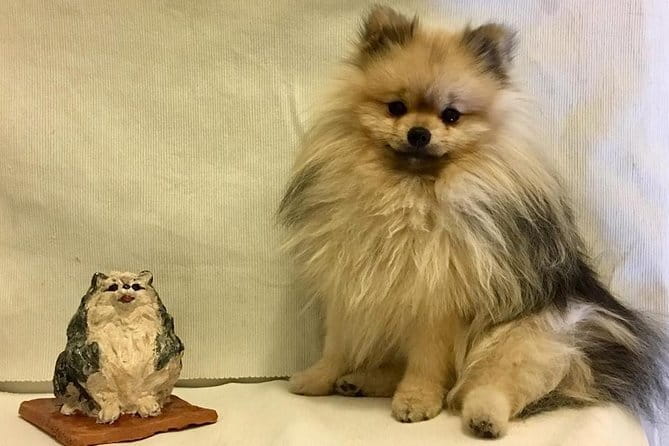 Sculpt to Florentine Pet - Discover the Unique Art of Sculpting Your Florentine Pet for a Personal Touch