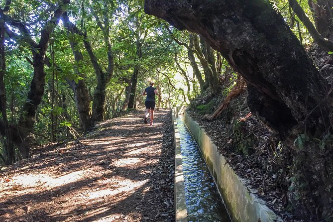 Sea 2 Mountain Running Tour (Moderate-Hard) - Expert Guidance and Flexibility on the Trail