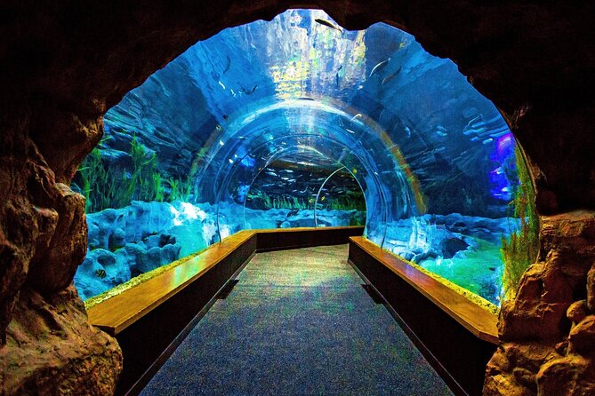 Sea and Mountain Full Day Tour with Lunch - Key Points