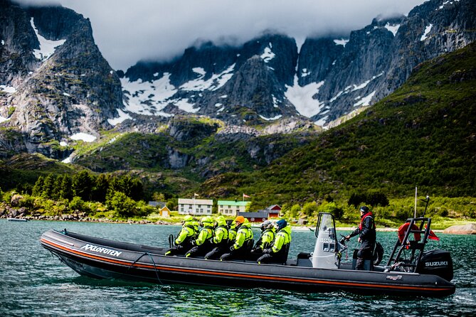 Sea Eagle Safari from Svolvær to Trollfjorden - Spotting the Sea Eagles in Their Natural Habitat
