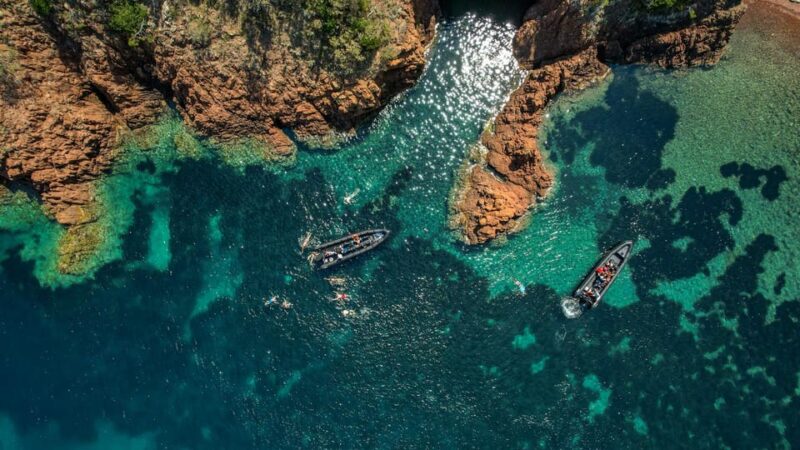 Sea excursion - Saint-Tropez from Cannes - Comparing Similar Tours