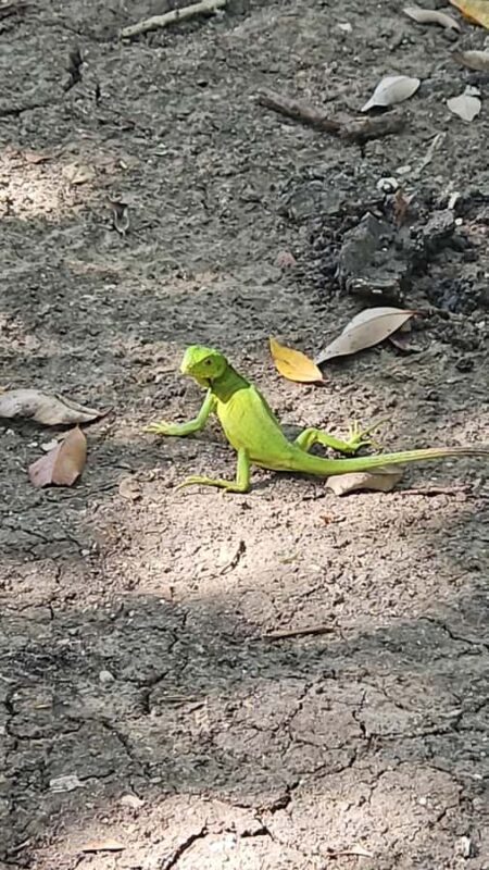 Sea excursion - Key Points