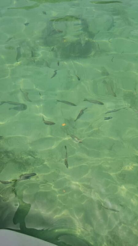 Sea excursion - The Unique Stops and Their Appeal