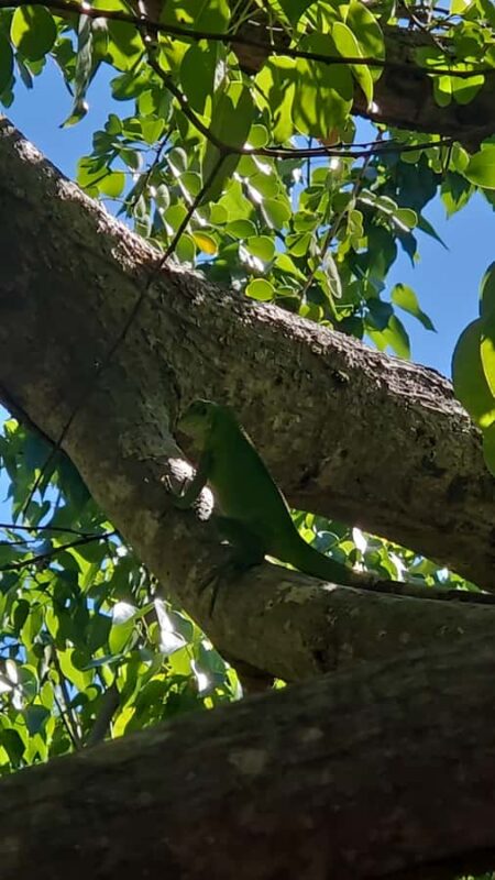 Sea excursion - Practical Details: Meeting Point and Group Size