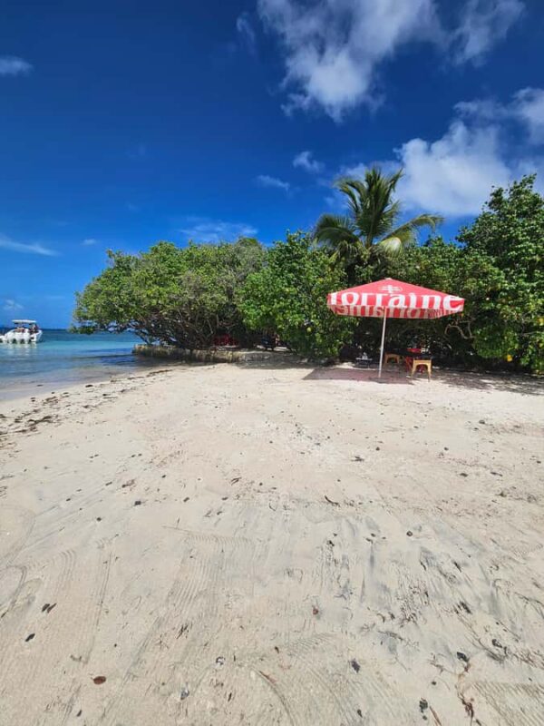 Sea excursion - The Sum Up: Is This Tour Right for You?