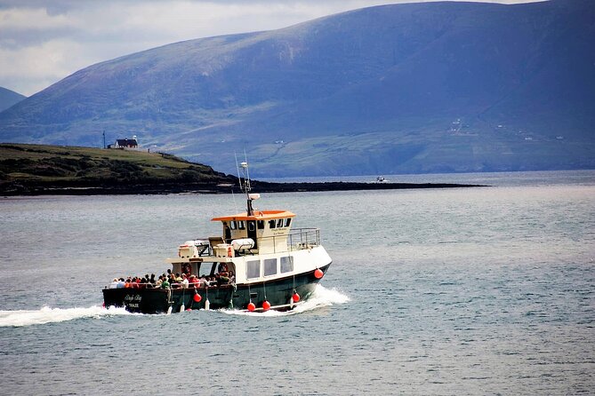 Sea fishing Donegal coast. Donegal. Private guided. - Exciting Private Sea Fishing Tour in Donegal with All Gear Supplied