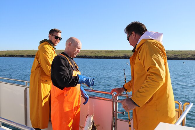 Sea Fishing Experience from Reykjavik - Discover the Reykjavik Sea Fishing Adventure at an Accessible Price