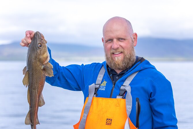 Sea Fishing Experience from Reykjavik - Key Points