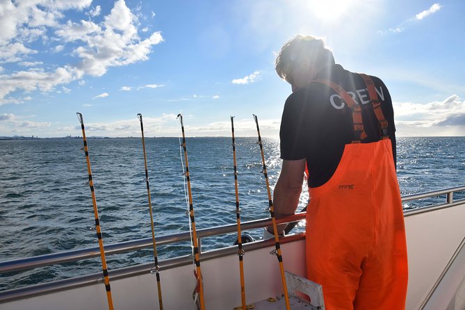 Sea Fishing Experience from Reykjavik - Summer Highlights: Puffin Watching and Island Passes
