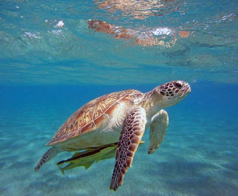 Sea Fishing Tour From Alanya & City Of Side - Who Should Consider This Tour?