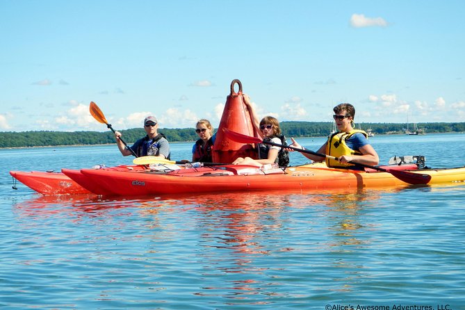 Sea Kayak to an Island Tour in Casco Bay - The Perfect Introduction to Casco Bay’s Marine Life and Islands