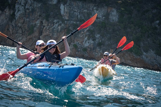 Sea Kayaking in Navarino Bay - Explore Navarino Bay with Guided Sea Kayaking in Greece