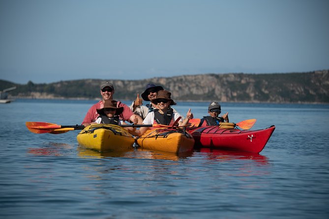 Sea Kayaking in Navarino Bay - Included Equipment and Expert Guidance