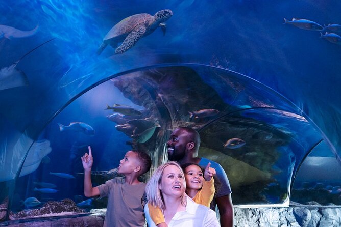 SEA LIFE Aquarium Grapevine Admission Ticket - Discover the Underwater World at SEA LIFE Aquarium Grapevine