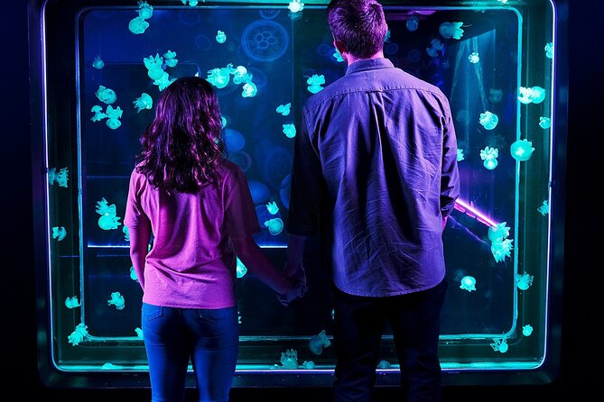 SEA LIFE Aquarium Minnesota Admission Ticket at Mall of America - Discover the Themed Tanks: Amazon River to Rainbow Reef