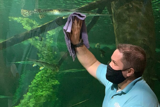 SEA LIFE Aquarium Minnesota Admission Ticket at Mall of America - Practical Information: Booking, Timing, and Crowds