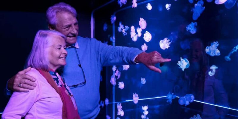 SEA LIFE Aquarium San Antonio - Dive into the Technicolor Reef of Live Corals