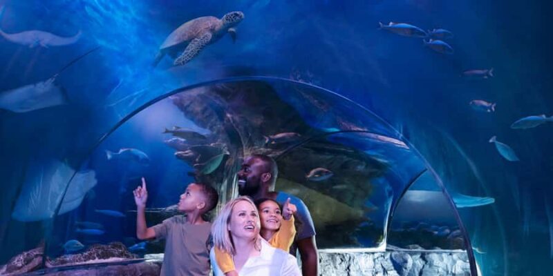SEA LIFE Aquarium San Antonio - San Antonio’s Only Underwater Ocean Tunnel: A Major Highlight