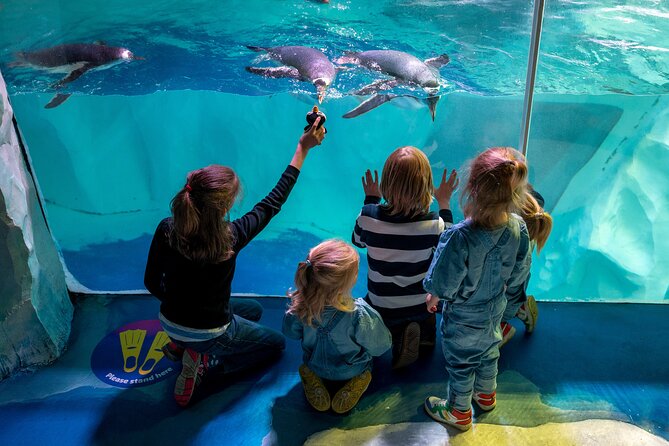SEA LIFE Birmingham Admission Ticket - Interactivity at the Rockpool and Touch Tank