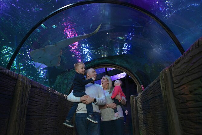 SEA LIFE Blackpool Admission Ticket - Explore Blackpools Marine Life with an Affordable Admission